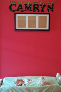 dsc_8084_web
